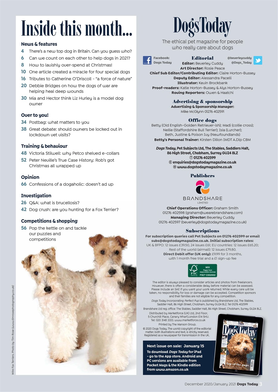 Dogs Today Magazine Preview Pages