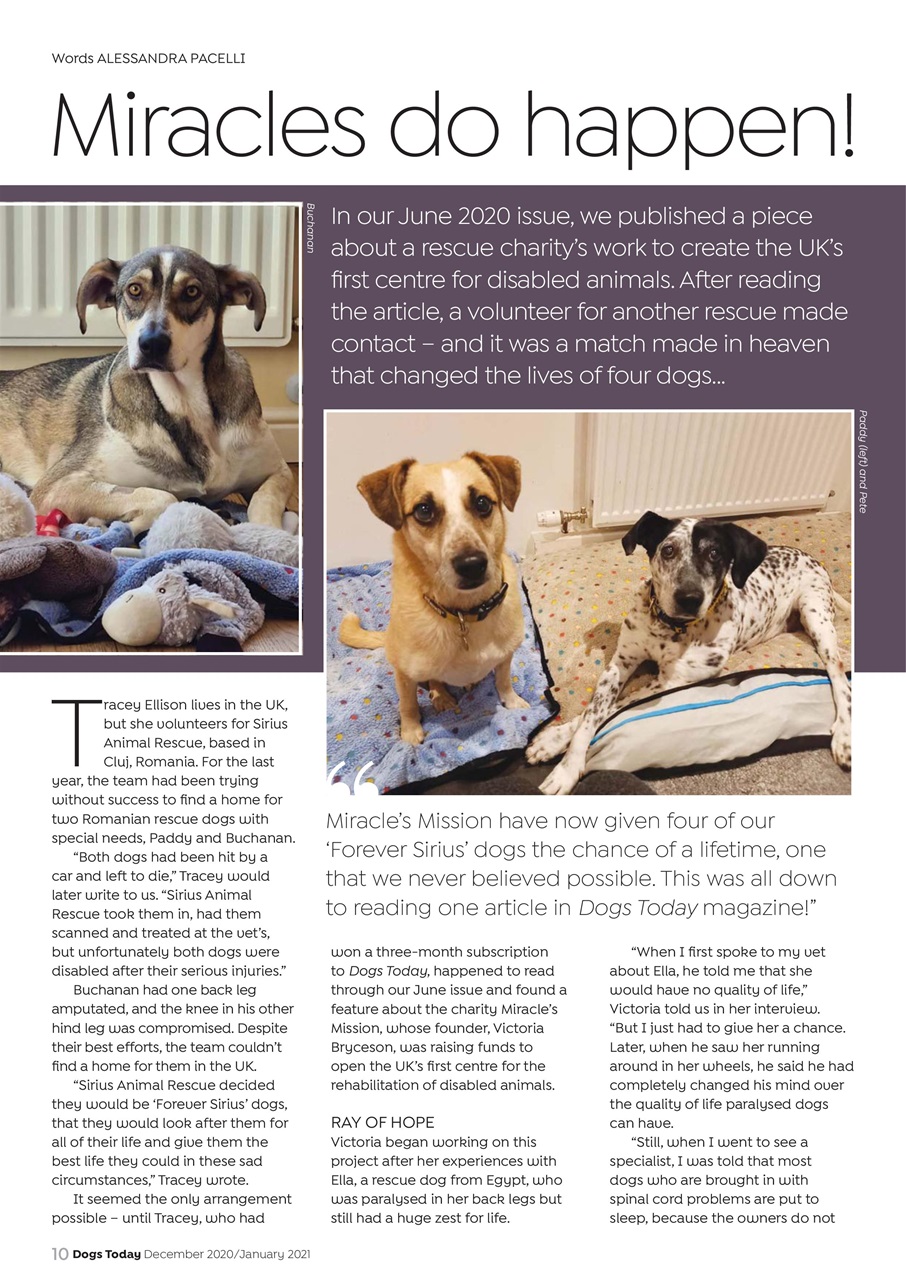 Dogs Today Magazine Preview Pages