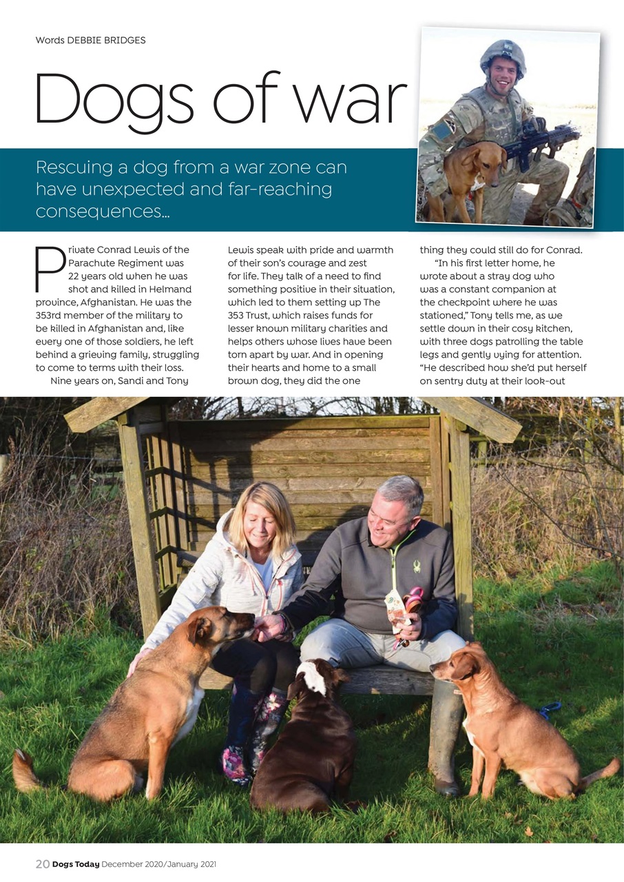 Dogs Today Magazine Preview Pages