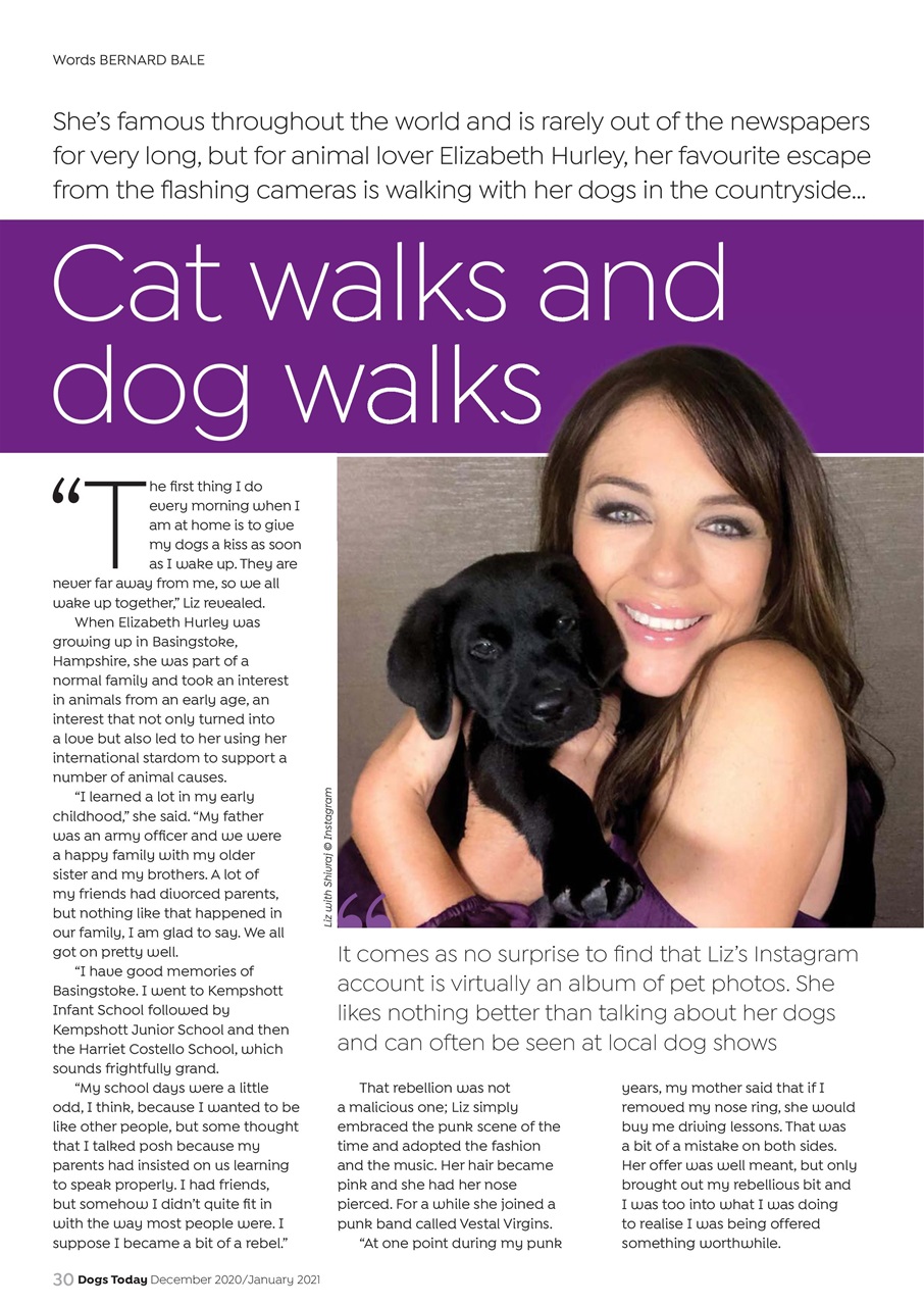 Dogs Today Magazine Preview Pages