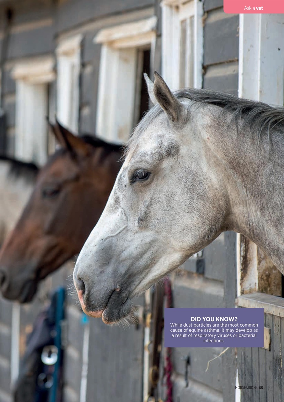 Horse&Rider Magazine - UK equestrian magazine for Horse and Rider Preview Pages