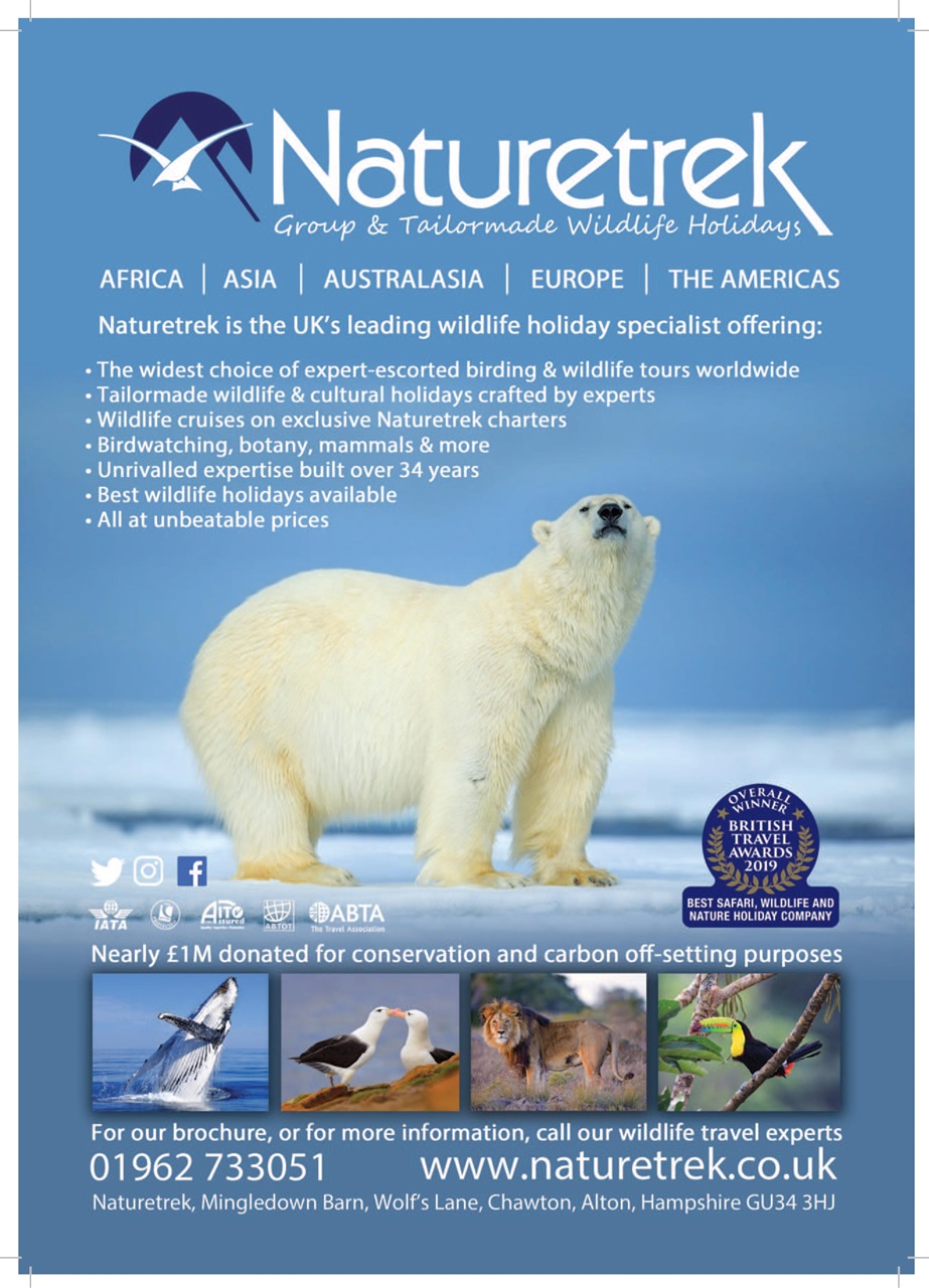 Geographical Preview Pages