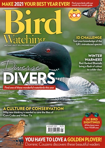 Bird Watching issue Jan 21