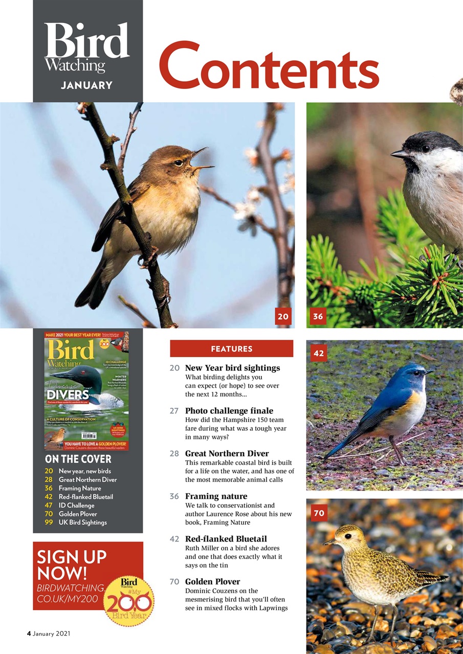 Bird Watching Preview Pages