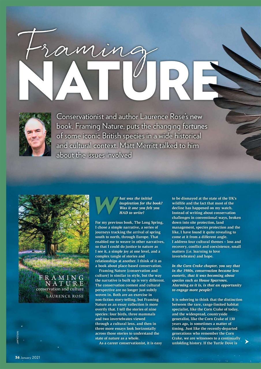 Bird Watching Preview Pages