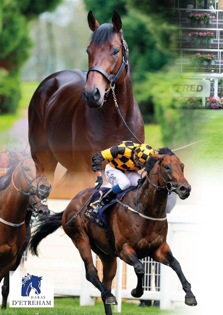 The Owner Breeder Preview Pages