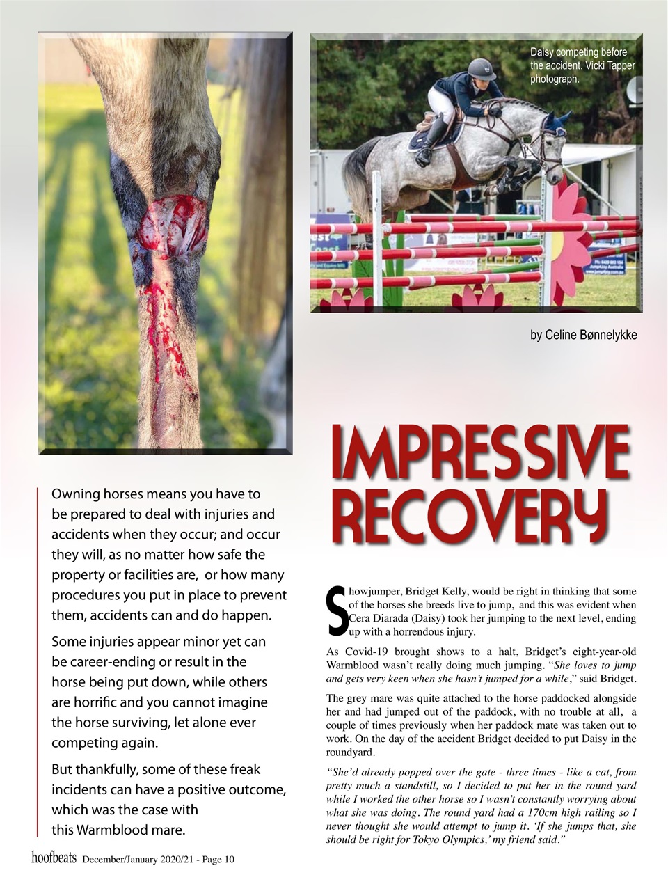 Hoofbeats Preview Pages