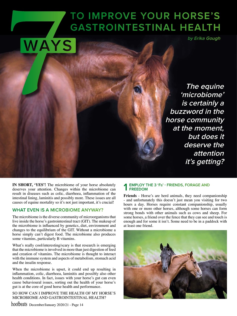 Hoofbeats Preview Pages