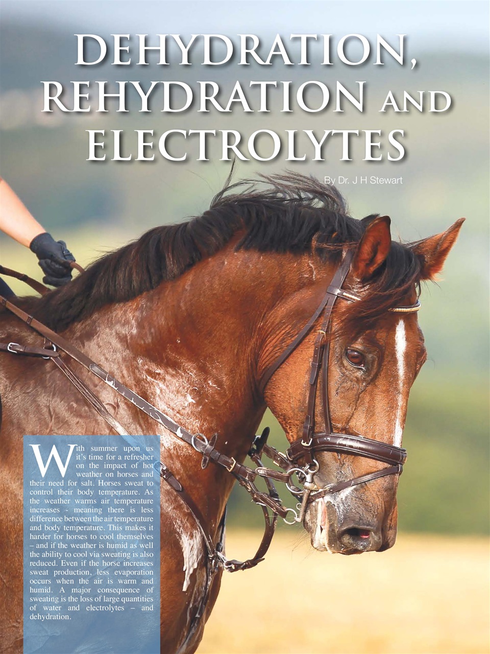 Hoofbeats Preview Pages