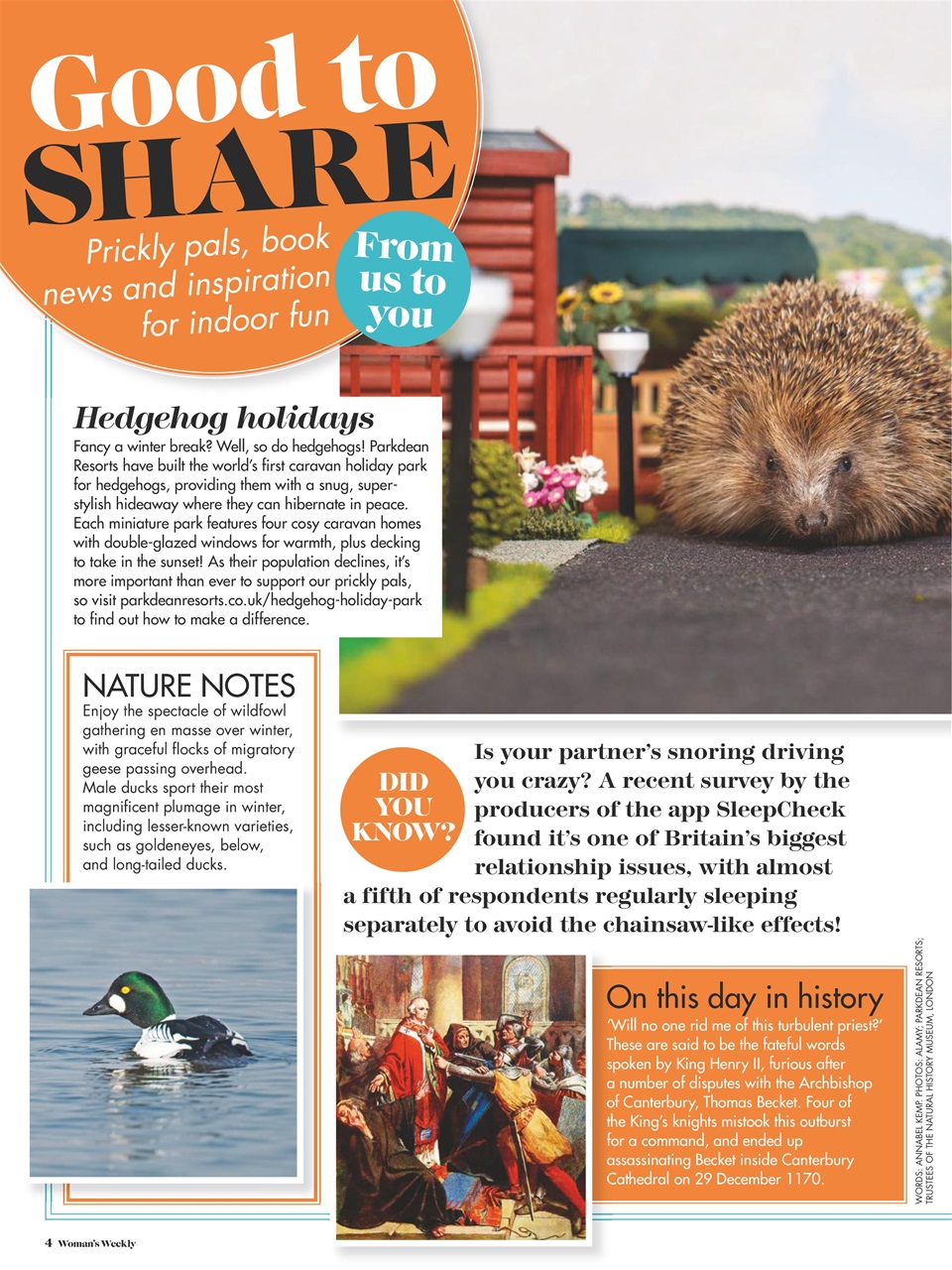 Woman's Weekly Preview Pages