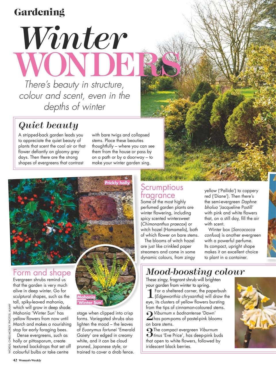 Woman's Weekly Preview Pages