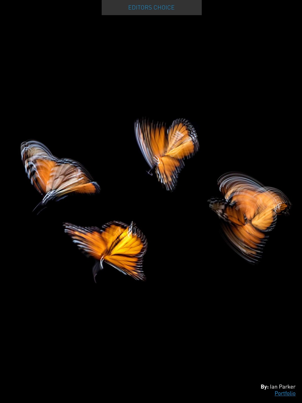 Photography Masterclass Magazine Preview Pages