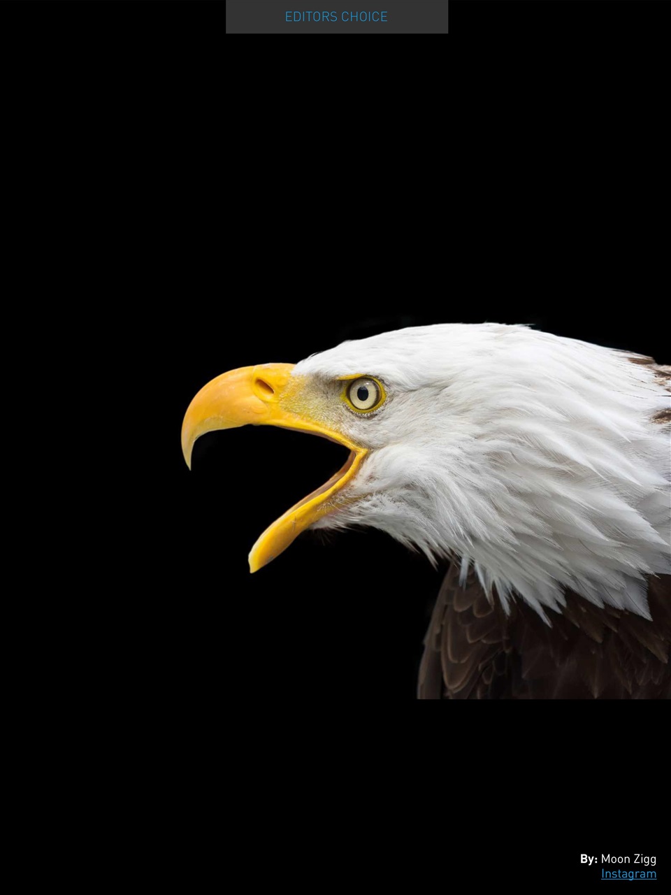 Photography Masterclass Magazine Preview Pages