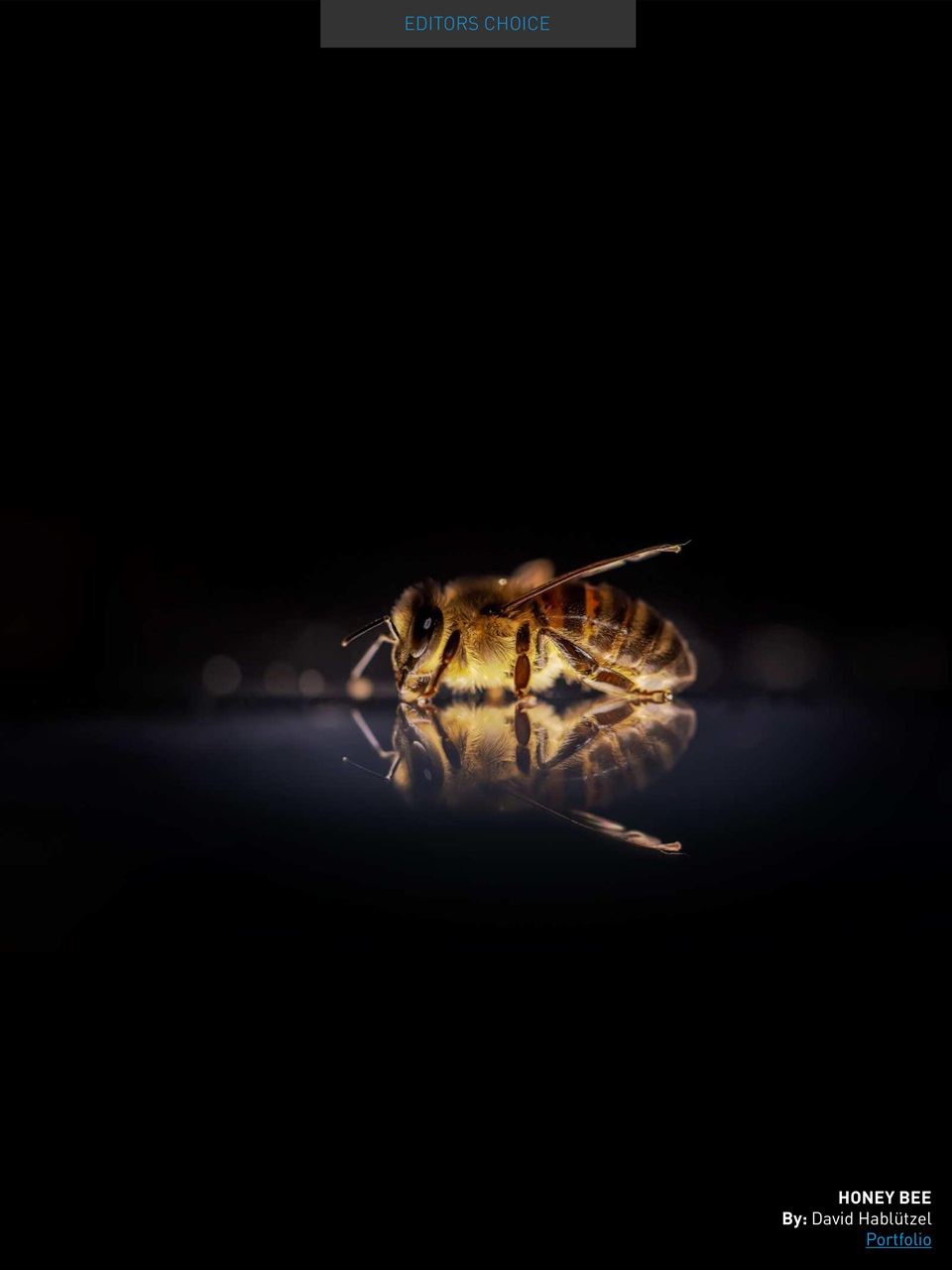 Photography Masterclass Magazine Preview Pages