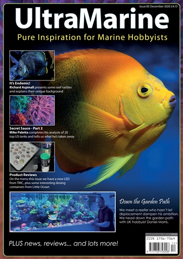 UltraMarine Magazine issue 