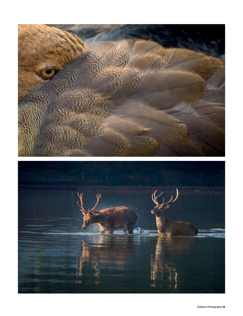 Outdoor Photography Preview Pages