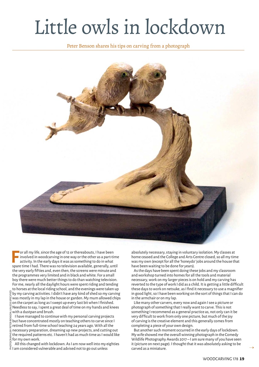 Woodcarving Preview Pages