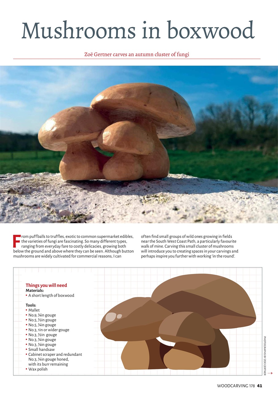 Woodcarving Preview Pages