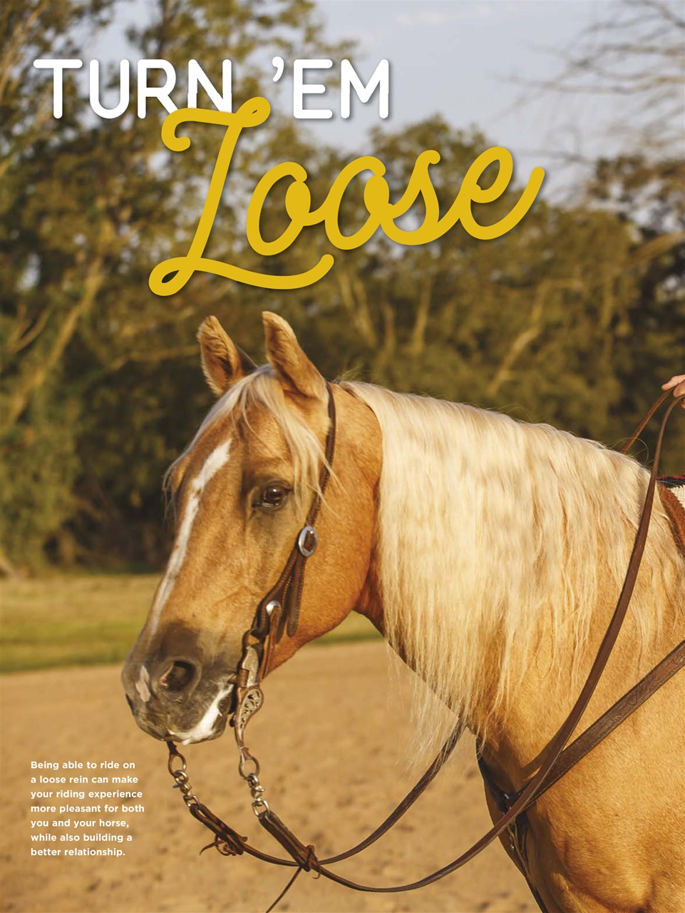 Young Rider Magazine Preview Pages