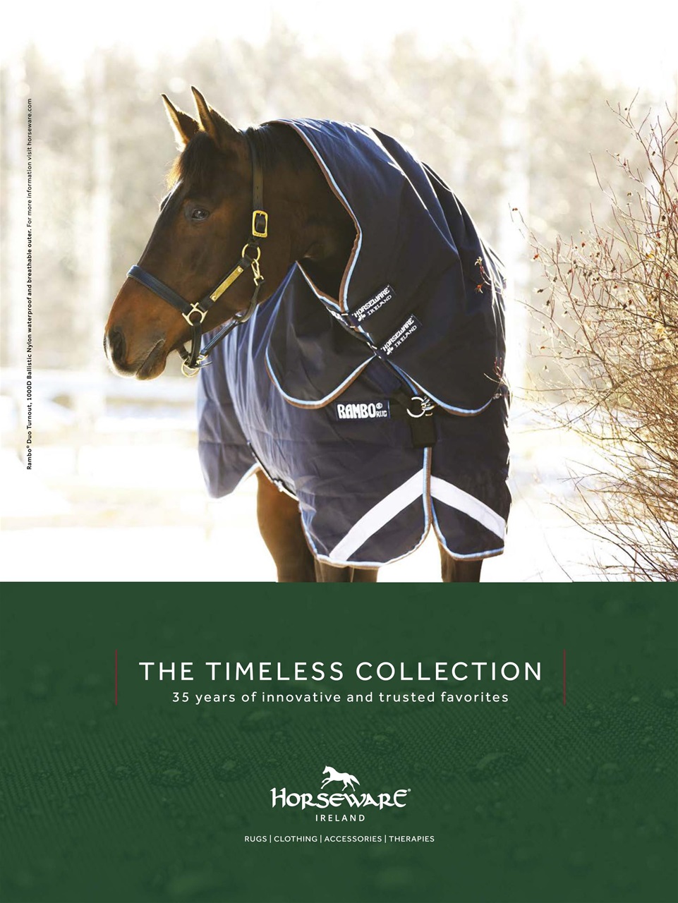 Young Rider Magazine Preview Pages