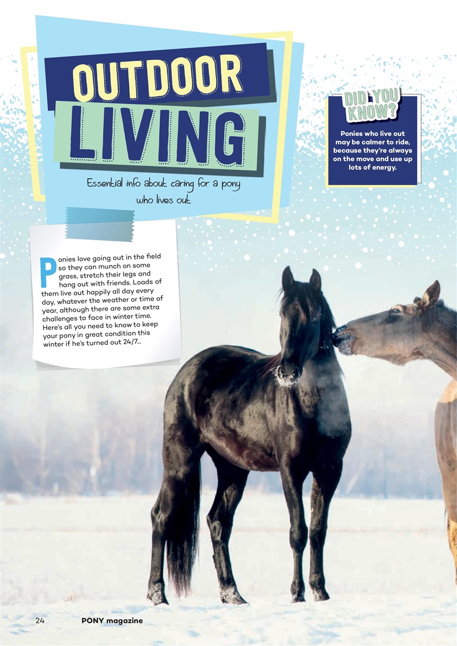 Pony Magazine Preview Pages