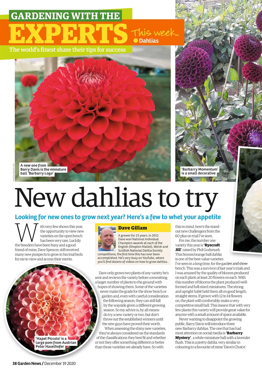Garden News Preview Pages