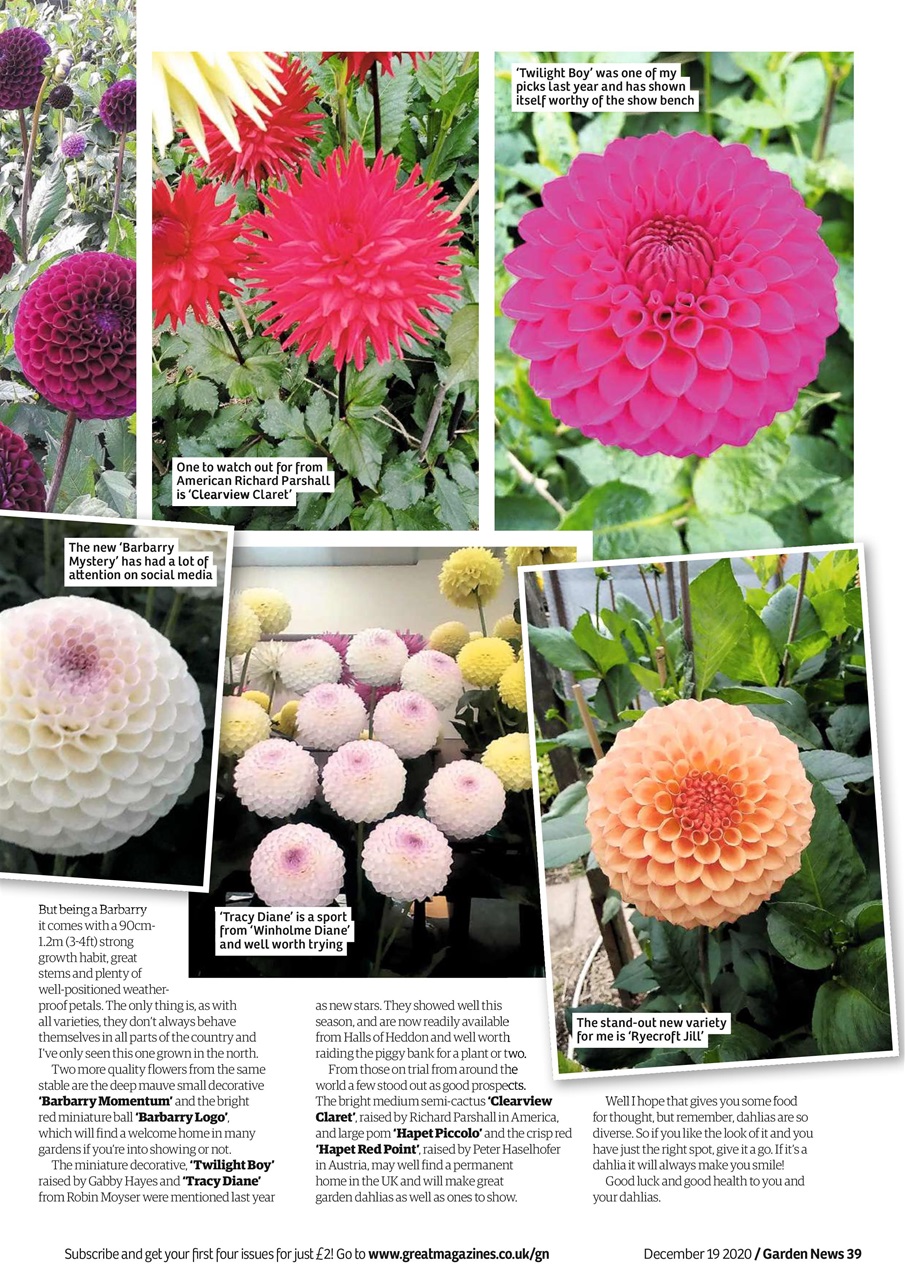 Garden News Preview Pages