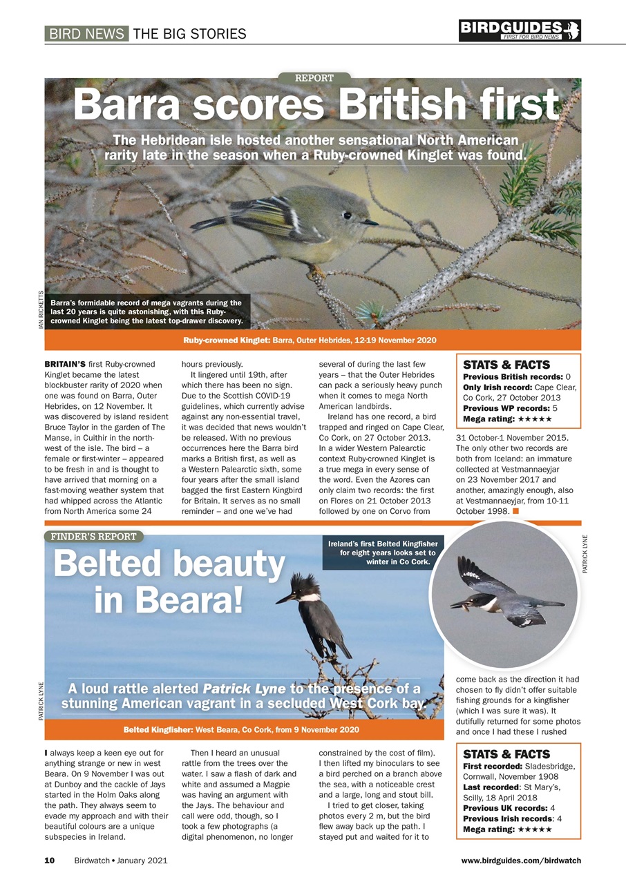Birdwatch Magazine Preview Pages