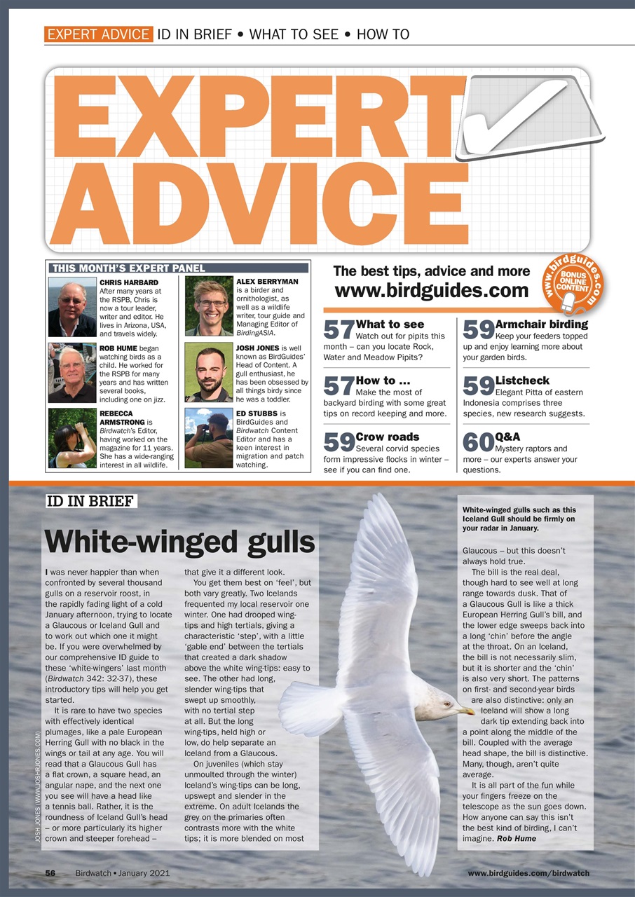Birdwatch Magazine Preview Pages