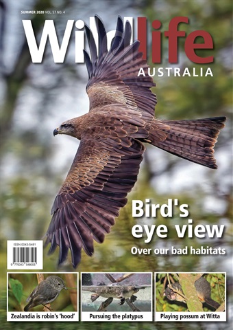 Wildlife Australia issue Wildlife Australia Magazine Summer 2020