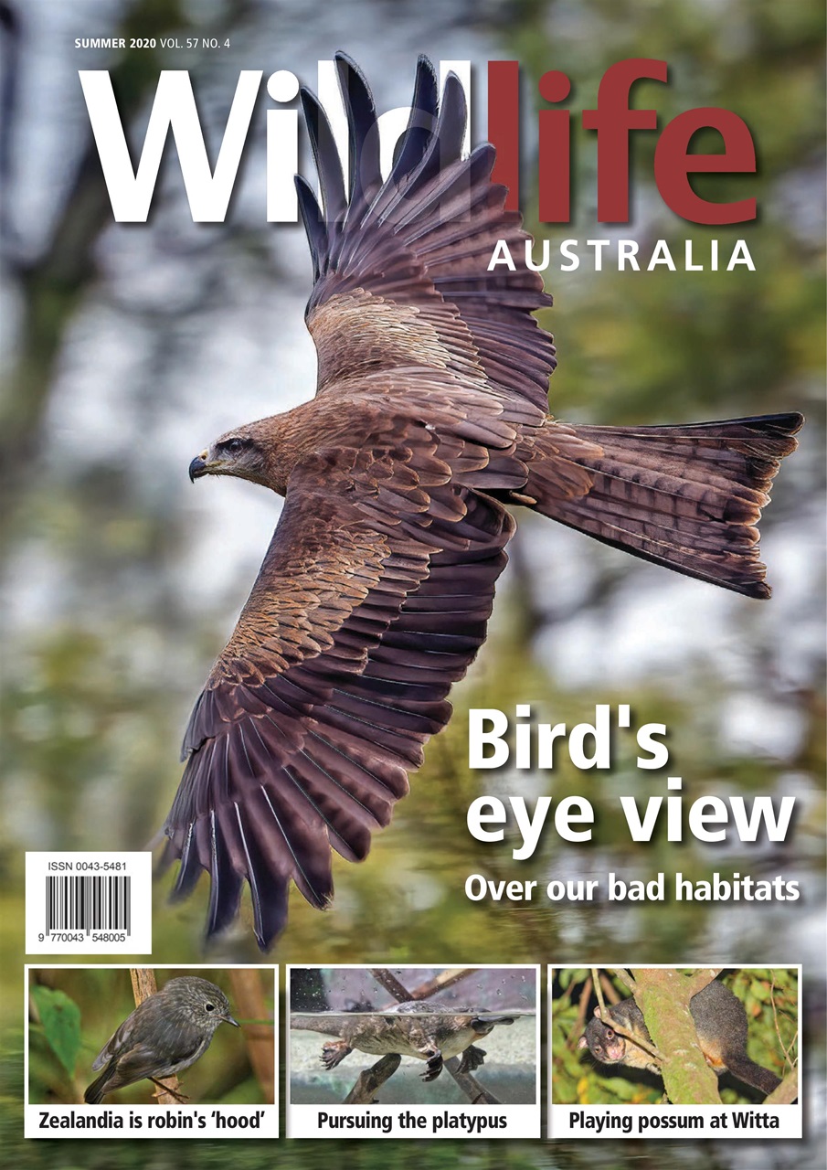 Wildlife Australia Preview Pages