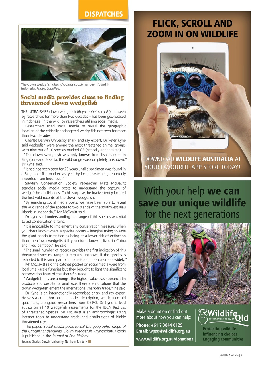Wildlife Australia Preview Pages