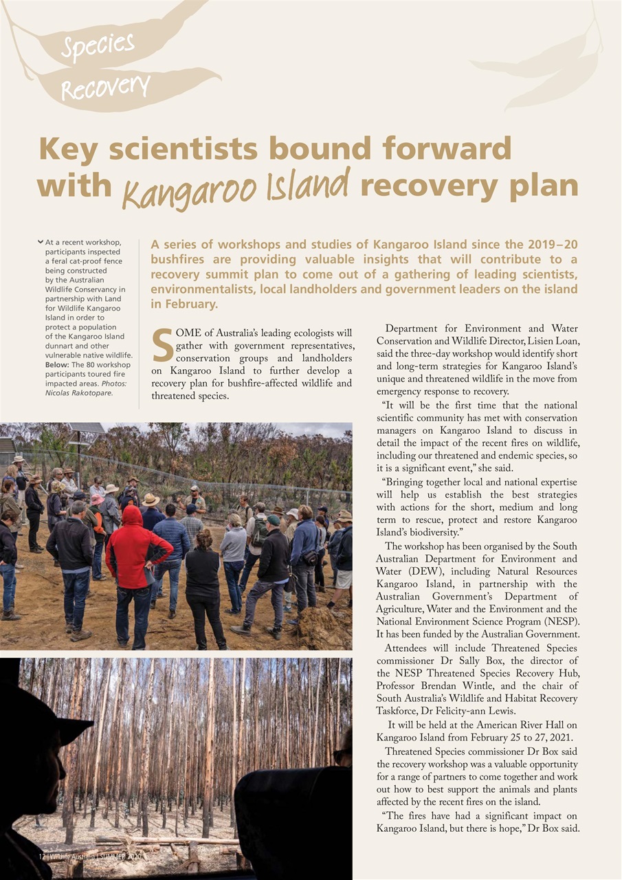 Wildlife Australia Preview Pages
