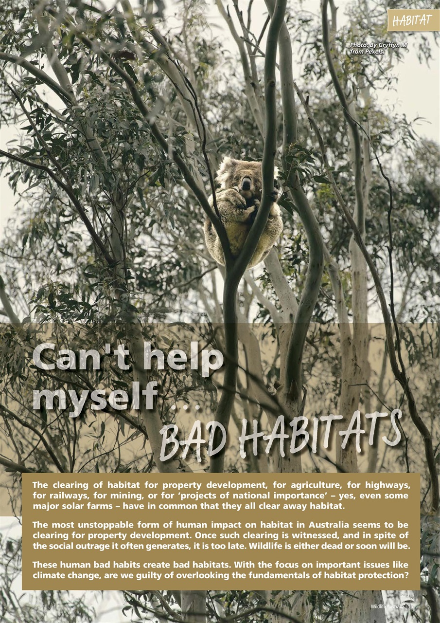 Wildlife Australia Preview Pages