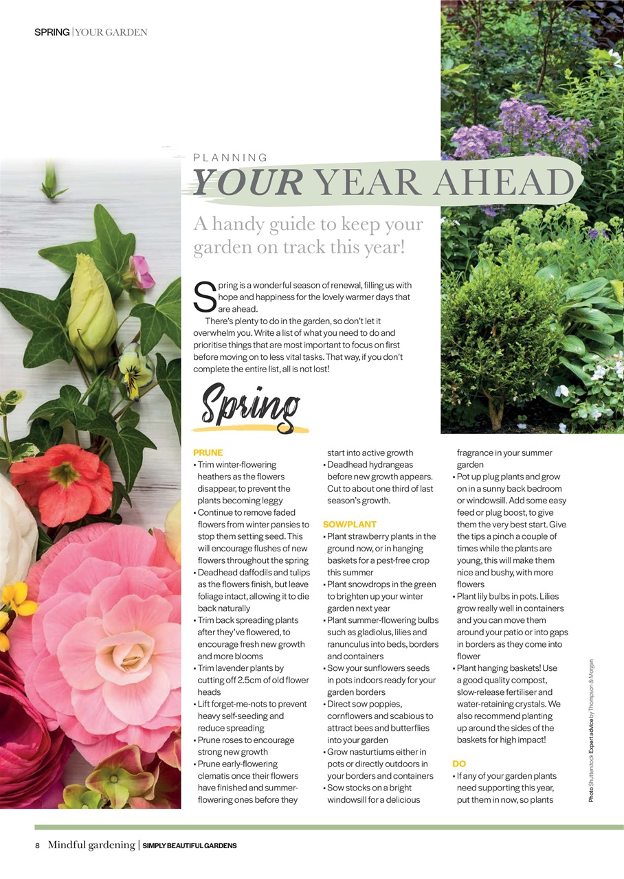 Simply Beautiful Gardens Preview Pages