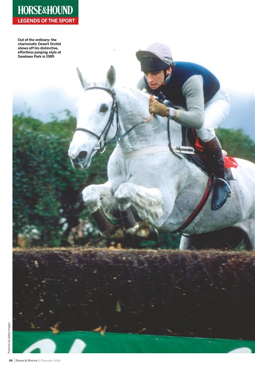 Horse & Hound Preview Pages