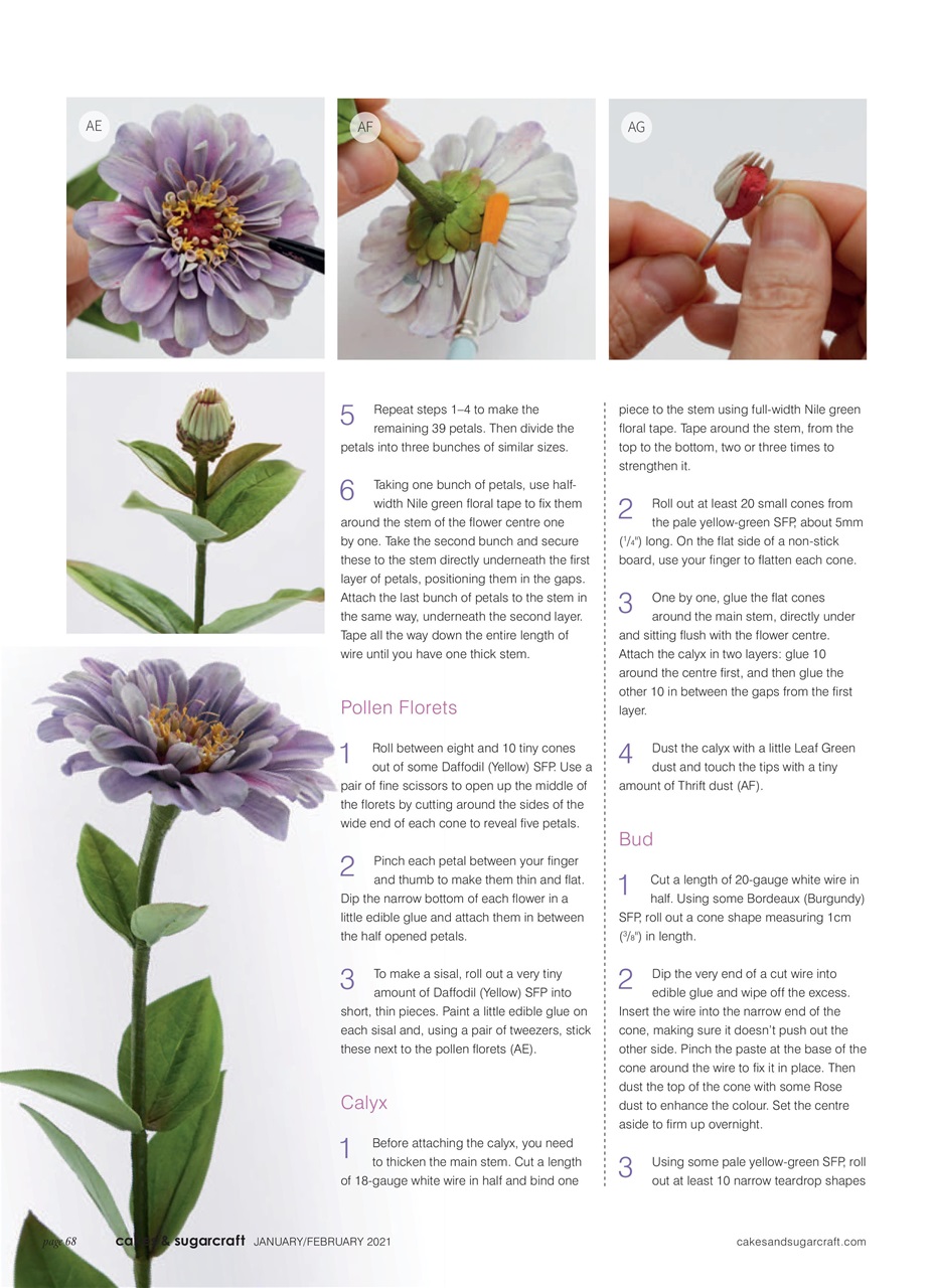 Cakes & Sugarcraft Preview Pages