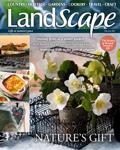 LandScape issue February 2021