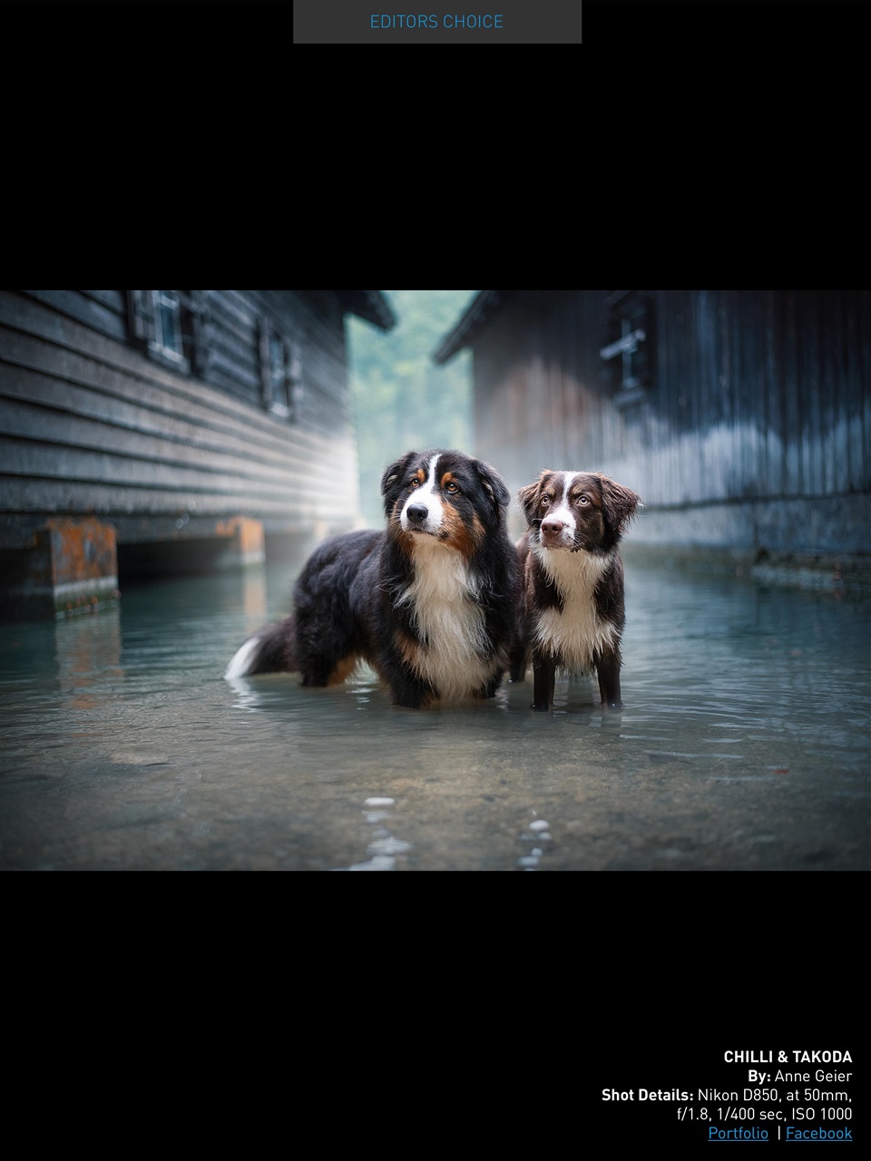 Photography Masterclass Magazine Preview Pages