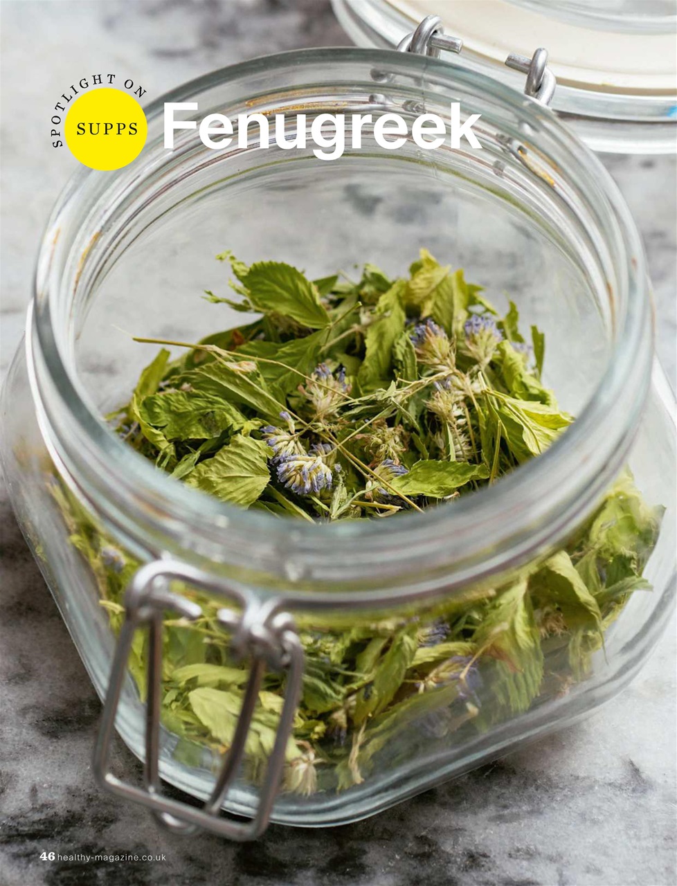 Healthy Magazine Preview Pages