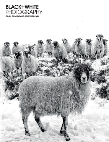 Black+White Photography issue Issue 248