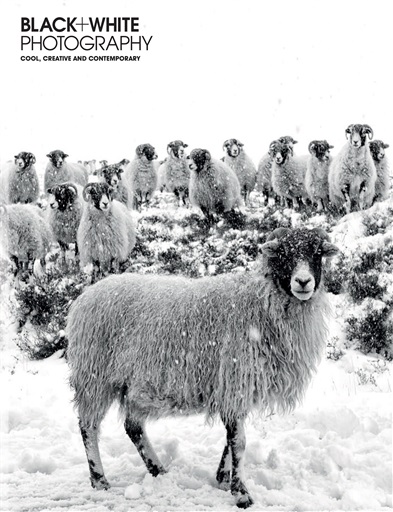Black+White Photography issue 