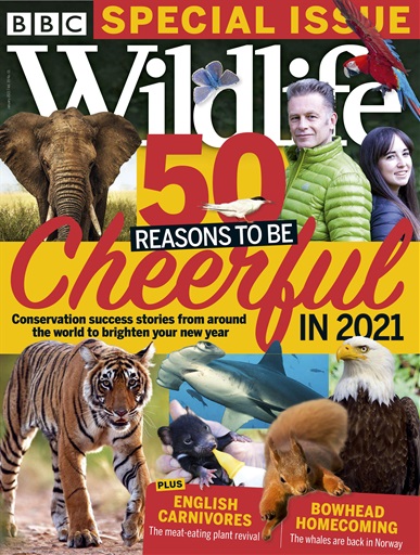 BBC Wildlife Magazine issue 