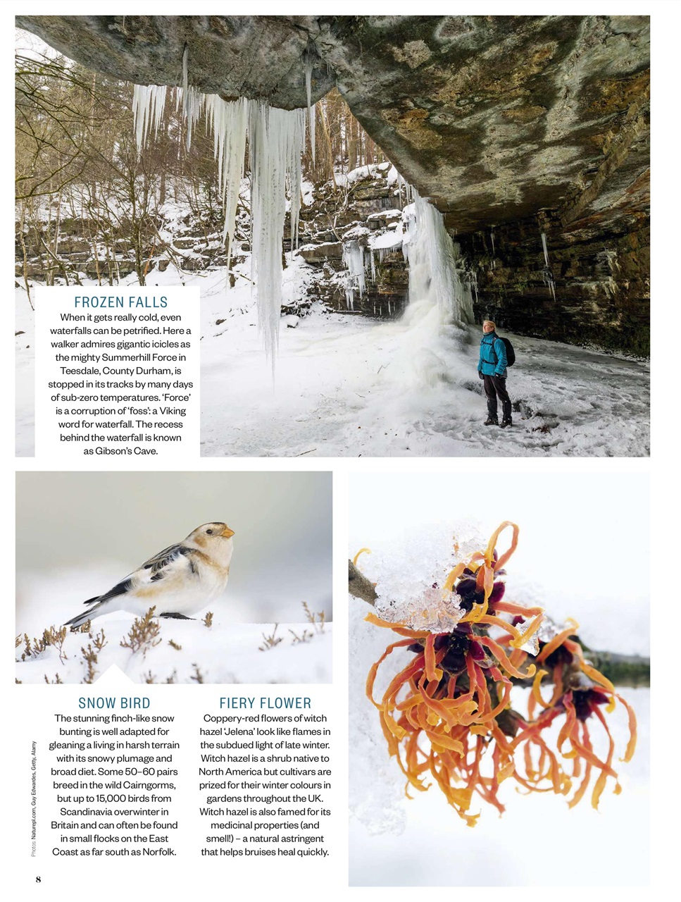 BBC Countryfile Magazine Preview Pages