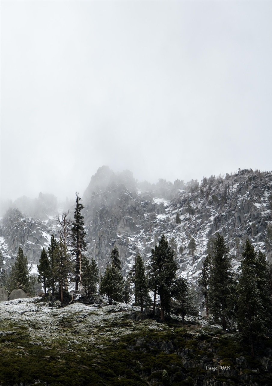 Witchology Magazine Preview Pages