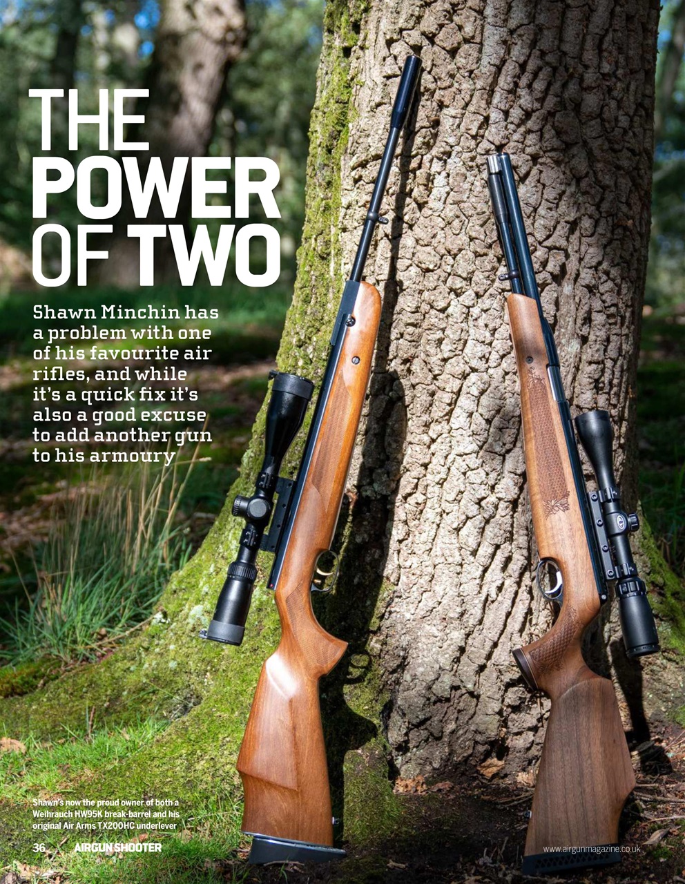 Airgun Shooter Preview Pages