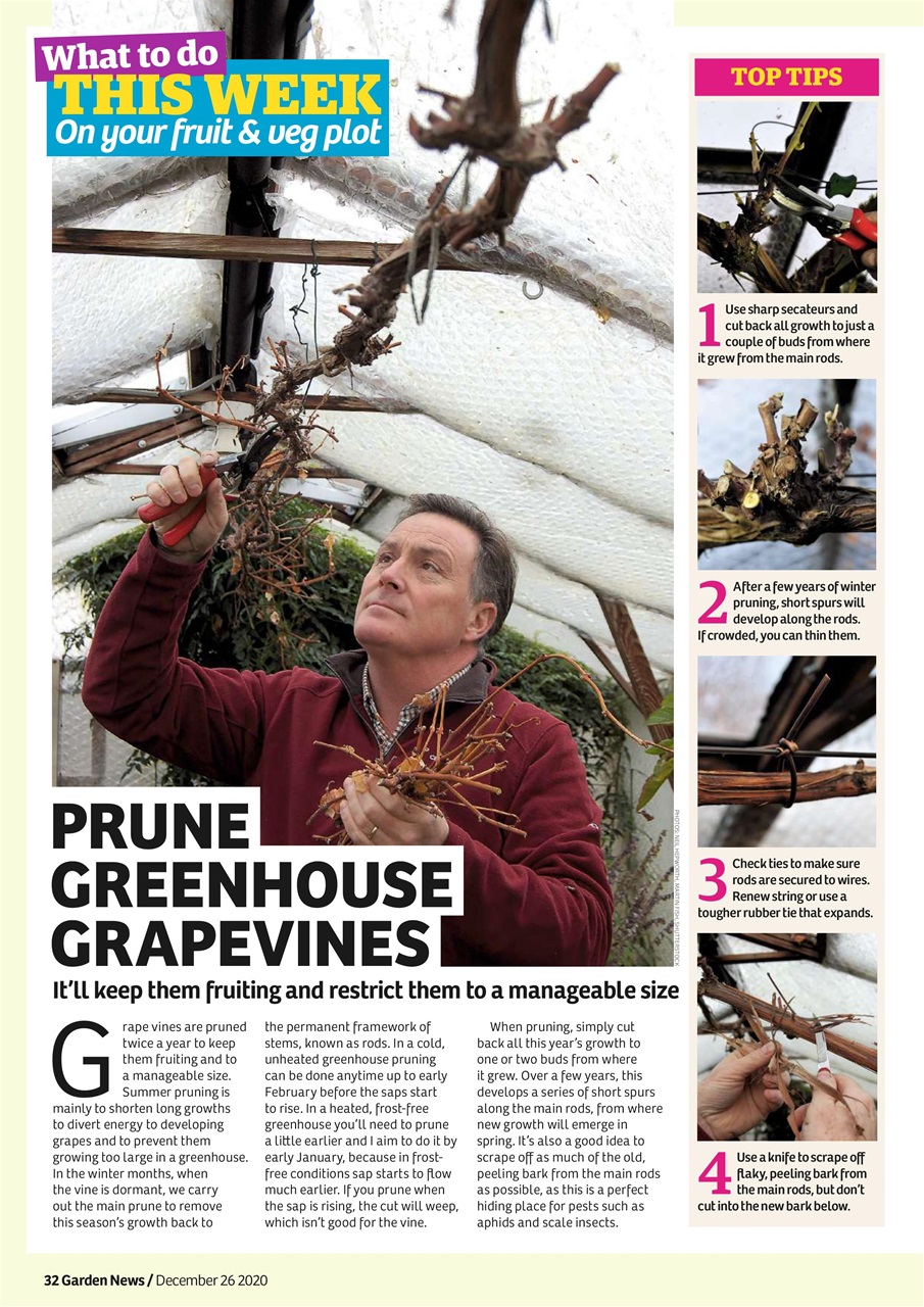 Garden News Preview Pages