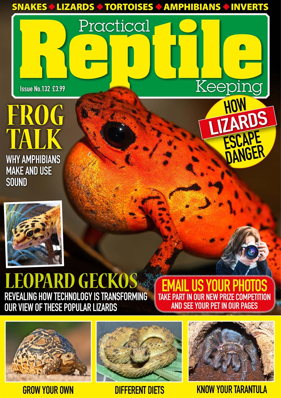 Practical Reptile Keeping Preview Pages