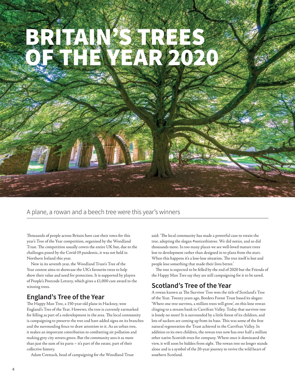 Woodworking Crafts Magazine Preview Pages