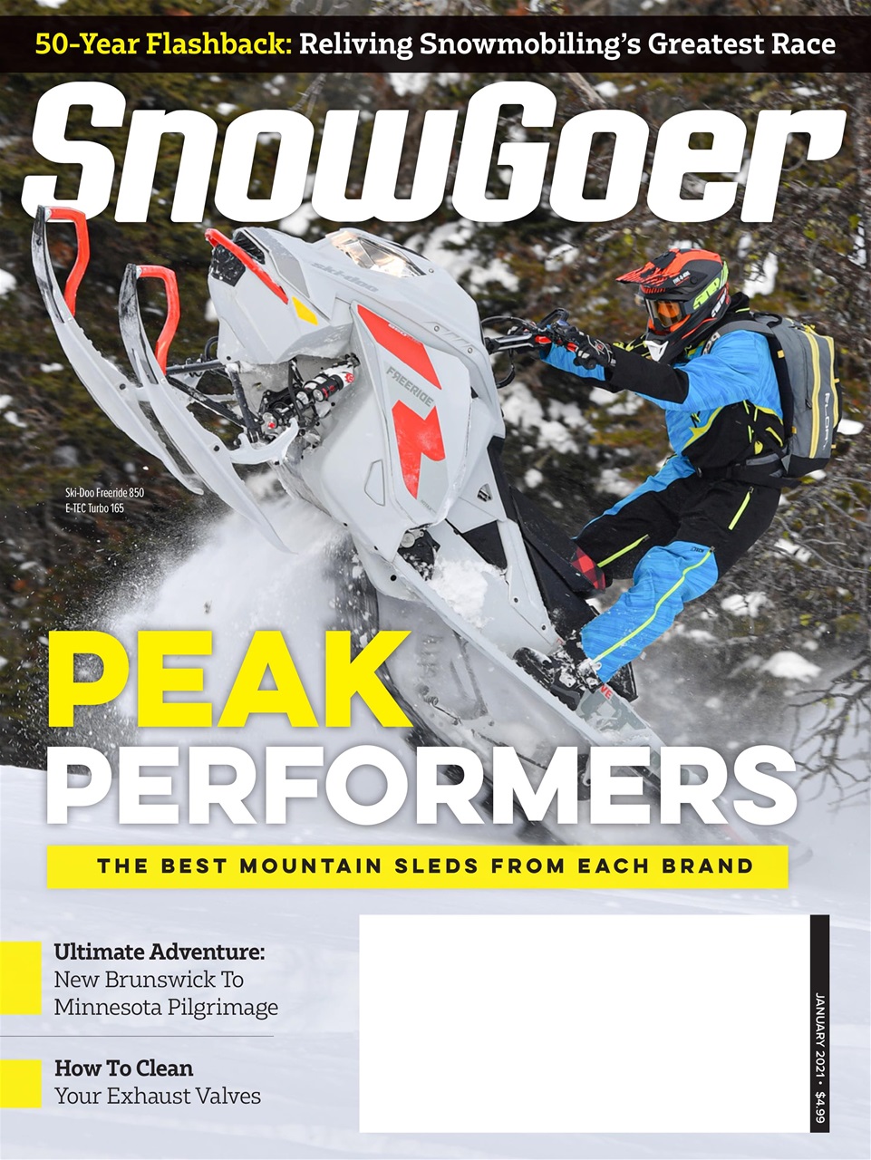 SnowGoer Preview Pages